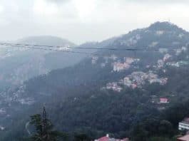 shimla tour