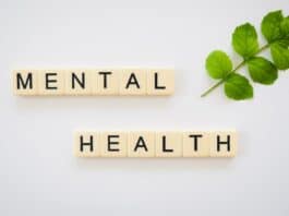 food for mental health