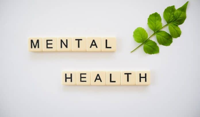food for mental health