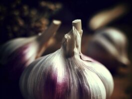 garlic