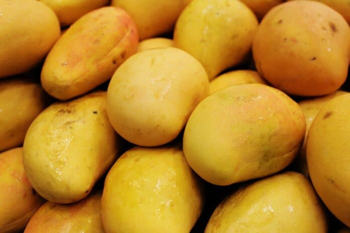 mangoes