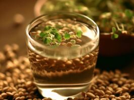 fenugreek seeds water