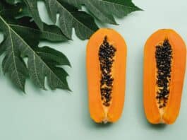 papaya