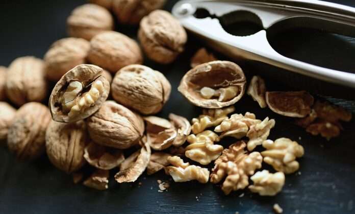 walnuts, nuts, nusschalen