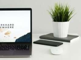 MacBook Pro near green potted plant on table