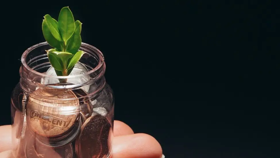 మ్యూచువల్ ఫండ్‌‌లలో కొత్తగా ఇన్వెస్ట్ చేయాలనుకుంటున్నారా: ఈ కాన్సెప్టులు తెలిస్తే మీరు ప్రో అయిపోతారు